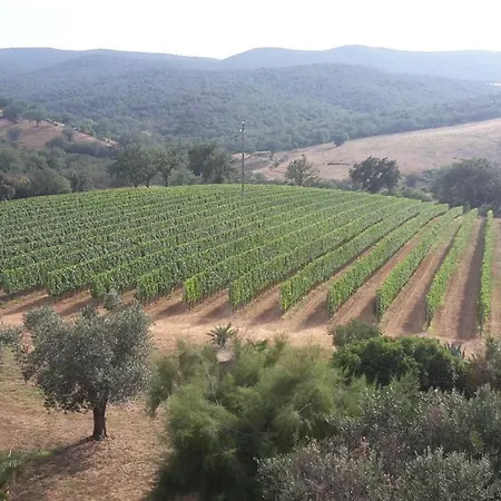 Willa Podere Belvedere Classic Tuscan *