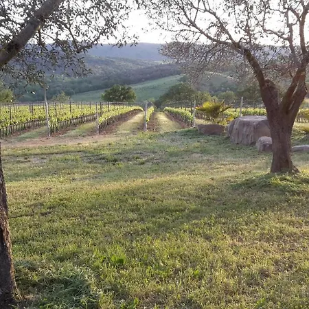 Podere Belvedere Classic Tuscan * Magliano in Toscana