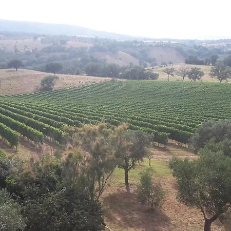 Villa Podere Belvedere Classic Tuscan *