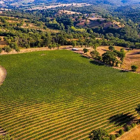 Podere Belvedere Classic Tuscan Willa
