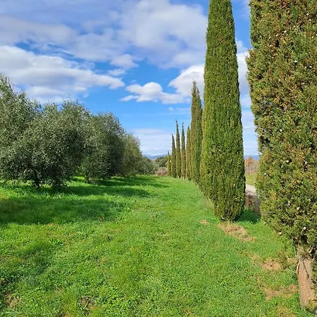 Podere Belvedere Classic Tuscan Willa