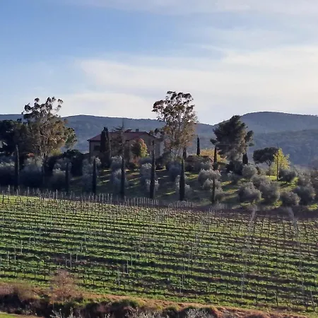 Villa Podere Belvedere Classic Tuscan *