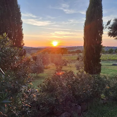 Podere Belvedere Classic Tuscan