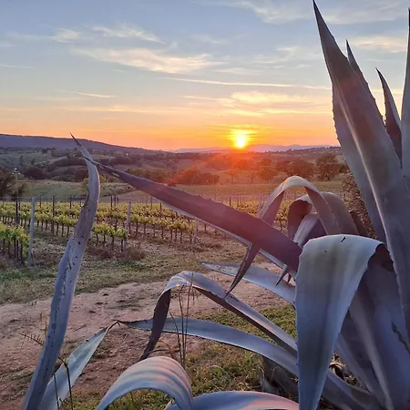 Podere Belvedere Classic Tuscan Magliano in Toscana