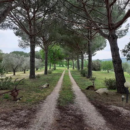 Villa Podere Belvedere Classic Tuscan *