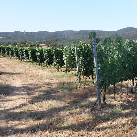 Villa Podere Belvedere Classic Tuscan *
