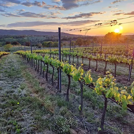 Podere Belvedere Classic Tuscan Villa